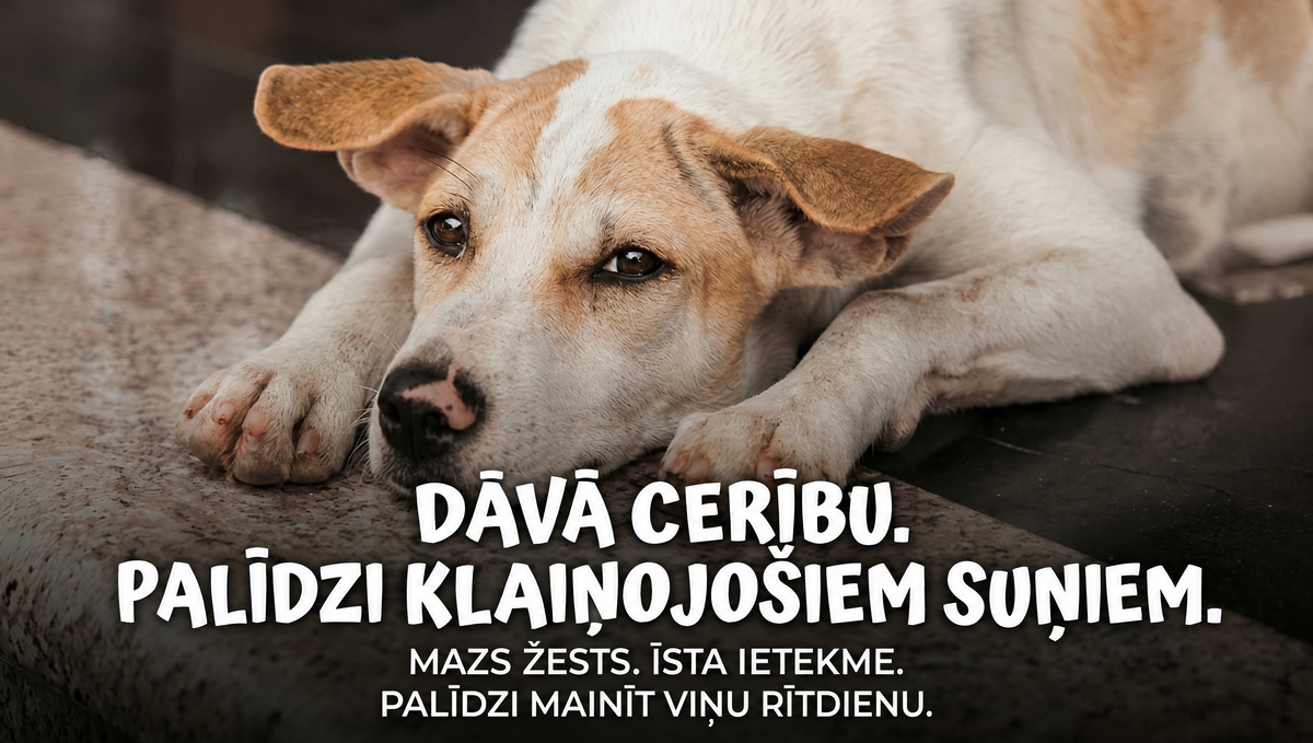 Dāvā cerību. Palīdzi klaiņojošiem suņiem.