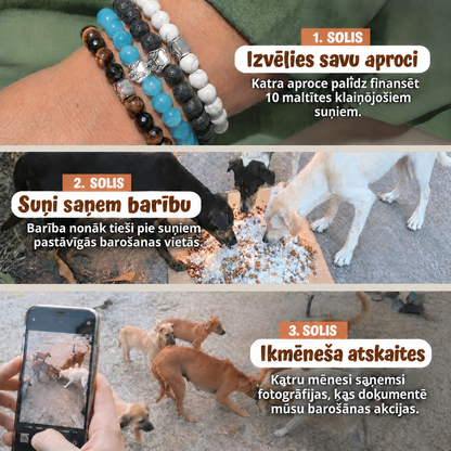 Aproce – Mežonīgais zvērs